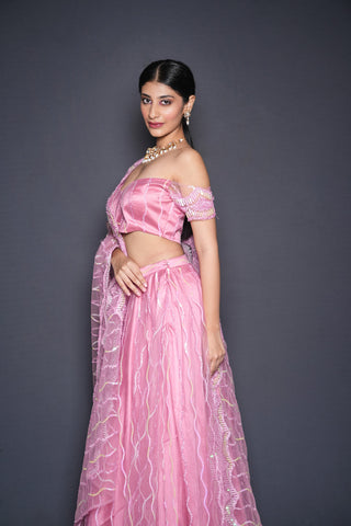 Pink Embellished Lehenga Set