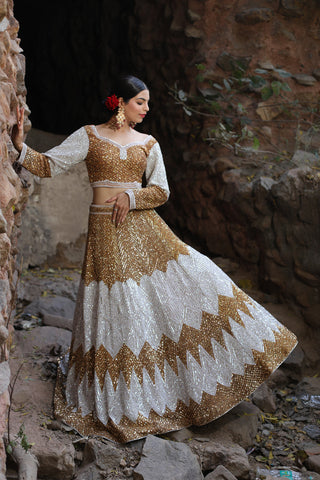 Gold And Silver Lehenga Set