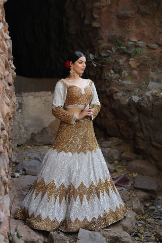 Gold And Silver Lehenga Set