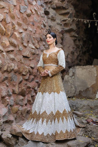 Gold And Silver Lehenga Set