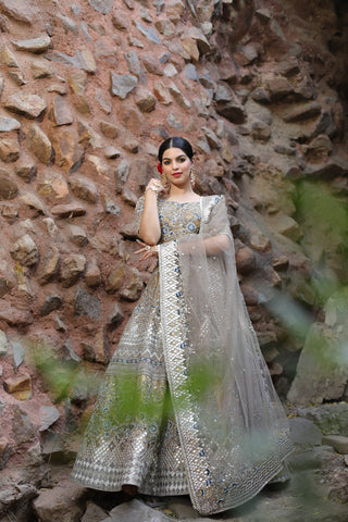 Gold And Silver Lehenga Set